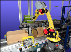 Packing Robots | Remtec | Robotics & Automation