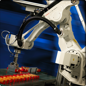 automated packaging M-420iA Robot