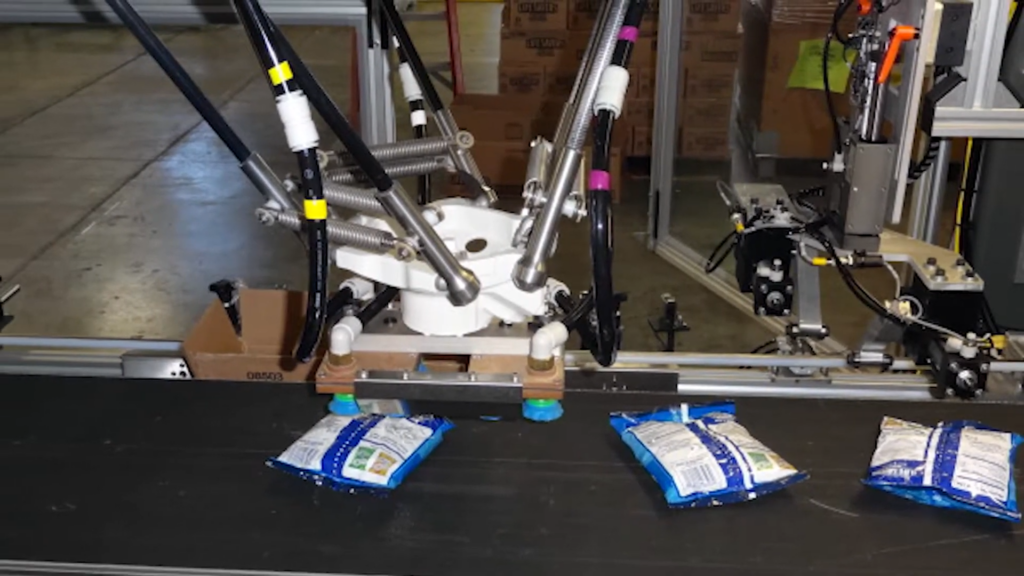 Remtec Robotic Case Packing Systems Provide Sweet Improvements